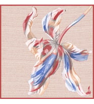 İtalyan Şifon Krem Bordo Mavi-110x110