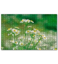 Cakapuzzle Beyaz Papatyalar Flu Arkaplan Puzzle Yapboz MDF (Ahşap) (120 Parça)