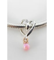 Fubena İki Renkli Sarılı Kalp Charm