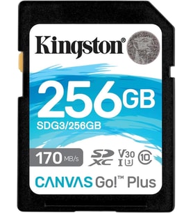 Kingston Canvas Go Plus SDG3/256GB Class 10 UHS-I U3 V30 256 GB Hafıza Kartı - Outlet