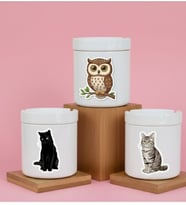 Gece Kedi & Baykuş Rüyası 3'lü Kapaklı Kokusuz Küllük Seti