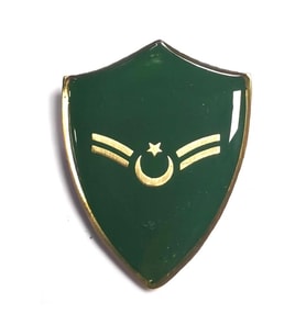 Minyatür Rütbe Astsubay Sağlık Sınıfı Astsubay Çavuş (Yeşil)