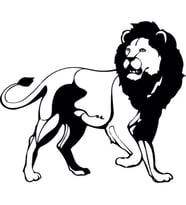 ASLAN LİON FOLYO STİCKER 60cm Uzunluk