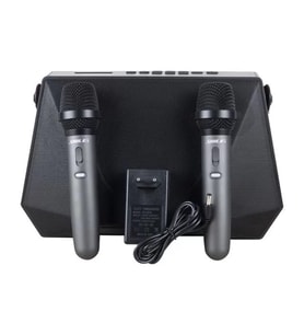 Shile Sl-3A İki El Mikrofonlu Kumandalı Usb/Sd/Bt Portatif Hoparlör