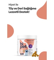 Deri Ve Tüy Güçlendirici Çiğnenebilir Tablet (DERMACARE)