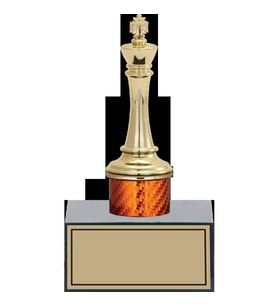 ODAK KUPA - Figürlü Kupalar - Satranç Figürlü Kupalar FG-003 C - 17 cm