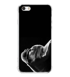 PrintiFy Apple iPhone 5S Uyumlu Köpek 1 Baskılı Şeffaf Köşe Korumalı Antişok Kılıf