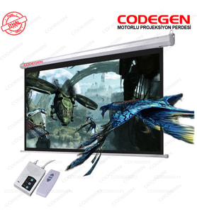 CODEGEN EX30 300x225 Motorlu Projeksiyon Perdesi