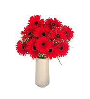 Bej Çizgili Vazoda 9 Kırmızı Gerbera