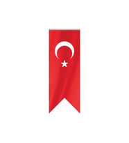 BUKET TÜRK MASA BAYRAĞI 8X30 BKT-198