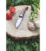 İsme Özel Mutfak Bıçağı Kamp Bıçak Katlanır Et, Ekmek, Sebze 20 Cm. (209 - Açık Ton)