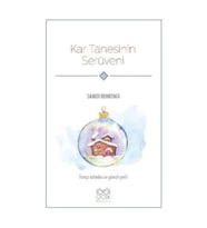 Kar Tanesinin Serüveni