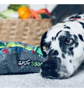 Wufsalad Ve Havhav Ödül Maması - Köpek Yavaş Besleme Matı ve Kurutulmuş Akciğer Köpek Ödül Maması