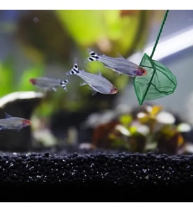 Akvaryum Balık Kepçesi - 12 cm
