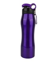 Mikro 750 ml Çelik Matara Mor