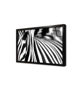 Yakın Çekim Zebra Çerçeveli Cam Tablo