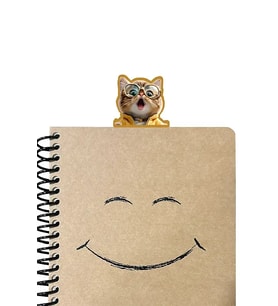 Şaşkın Kedi Kitap Ayracı