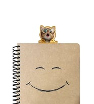 Şaşkın Kedi Kitap Ayracı