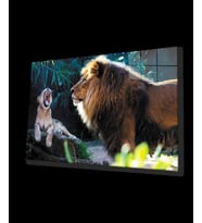 Aslan Hayvan Cam Tablo 4mm Dayanıklı Temperli Cam
