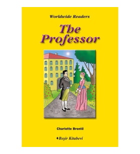 Level 6 - The Professor