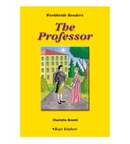 Level 6 - The Professor