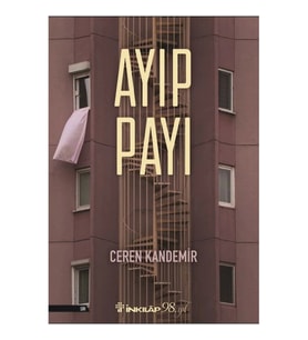 Ayıp Payı