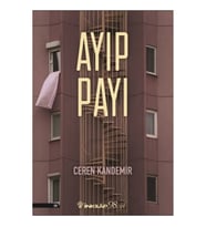 Ayıp Payı
