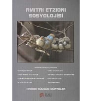 Amitai Etzioni Sosyolojisi
