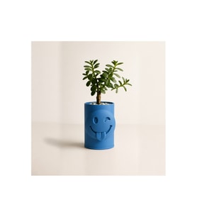 Alvera Emoji Planter – 3D Baskı Göz Kırpan Yüzlü Minik Yeşil Saksısı-Mavi