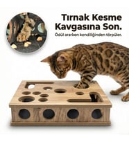 KediKür ™ – Tırnak Törpüleyen Tırmalama ve Oyun Kutusu