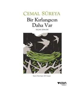 BİR KIRLANGICIN DAHA VAR