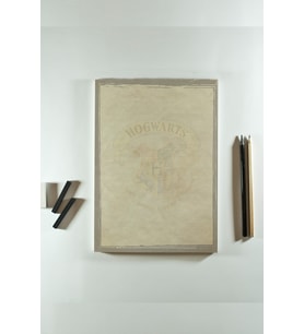 A4 Notepad Harry Potter Lisanslı Özel Tasarım