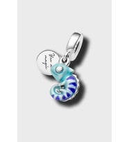 Bukalemun Charm  925 Ayar Gümüş