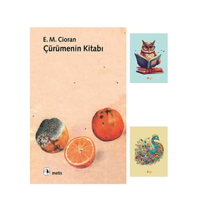 Çürümenin Kitabı - Emil Michel Cioran 9789753422666 - (2 NOT DEFTERLİ) (Renksiz)