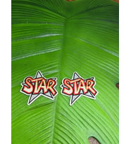 2 ADET 6X6 CM STAR YAZILI ARMA SET