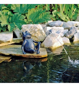 Poollıne Happy Frog Dekoratif Figürlü Süs Havuzu Seti