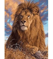 Aslan Sayılarla Boyama Seti 40x50 cm (Tuvale Gerili)