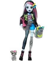 Monster High Acayip Havalı Arkadaşlar Frankie Stein HXH73 (Çok Renkli)