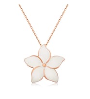 Gümüş Rose Yasemin Çiçeği Bayan Kolye