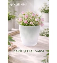 Dekoratif saksı 2L + Hediye Şeffaf Saksı