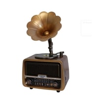 Everton Rt-601 Gramafonlu Bluetooth Fm-Usb-Tf-Aux Şarjlı Nostaljik Radyo
