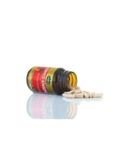 Kırmızı  Panax Extract