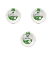 Roll-Up Nature Ekolojik Karton Kağıt Parti Tek Kullanımlık Tabak - 18 Cm. - 50 Adetlik 3 Paket