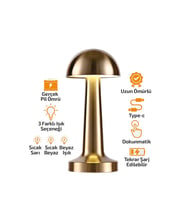 OVAL - METAL MANTAR MASA LAMBASI DOKUNMATİK - RENKLİ TYPE-C ŞARJLI 3 FONKSİYONLU YL86-1231 (5680)