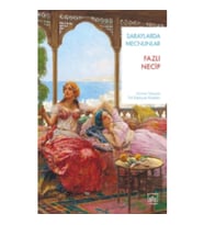 Saraylarda Mecnunlar