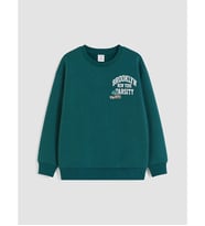 LCW Kids Petrol Baskılı Erkek Çocuk Sweatshirt