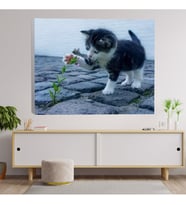 Çiçekle Oynayan Yavru Kedi Dekoratif Kanvas Tablo