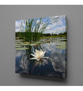 AKARSUDAKİ ZAMBAK KANVAS TABLO 170x170cm