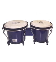 Cox BC105F-BL Bongo