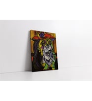Picasso